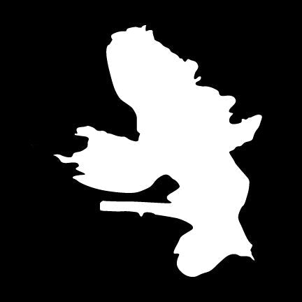 Vinyl Lake Sticker - Galway Lake NY