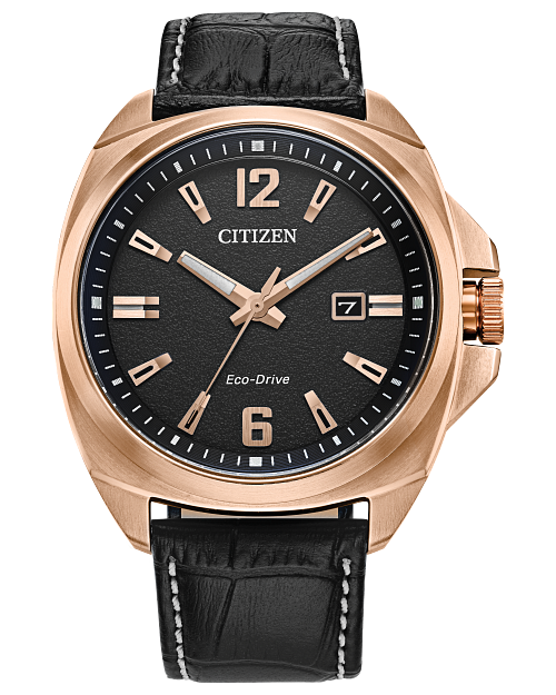 Citizen Watch - Endicott Sport Luxury - AW1723-02E