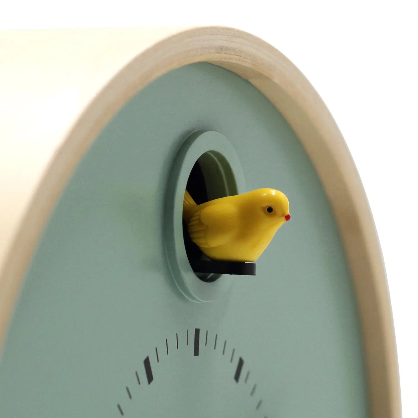 A close-up of the Cloudnola Clock - Sage Green Dot Cuckoo Clock (model 0261) by Cloudnola, featuring a contemporary design with a sage green finish and a yellow bird figure emerging from a circular opening.