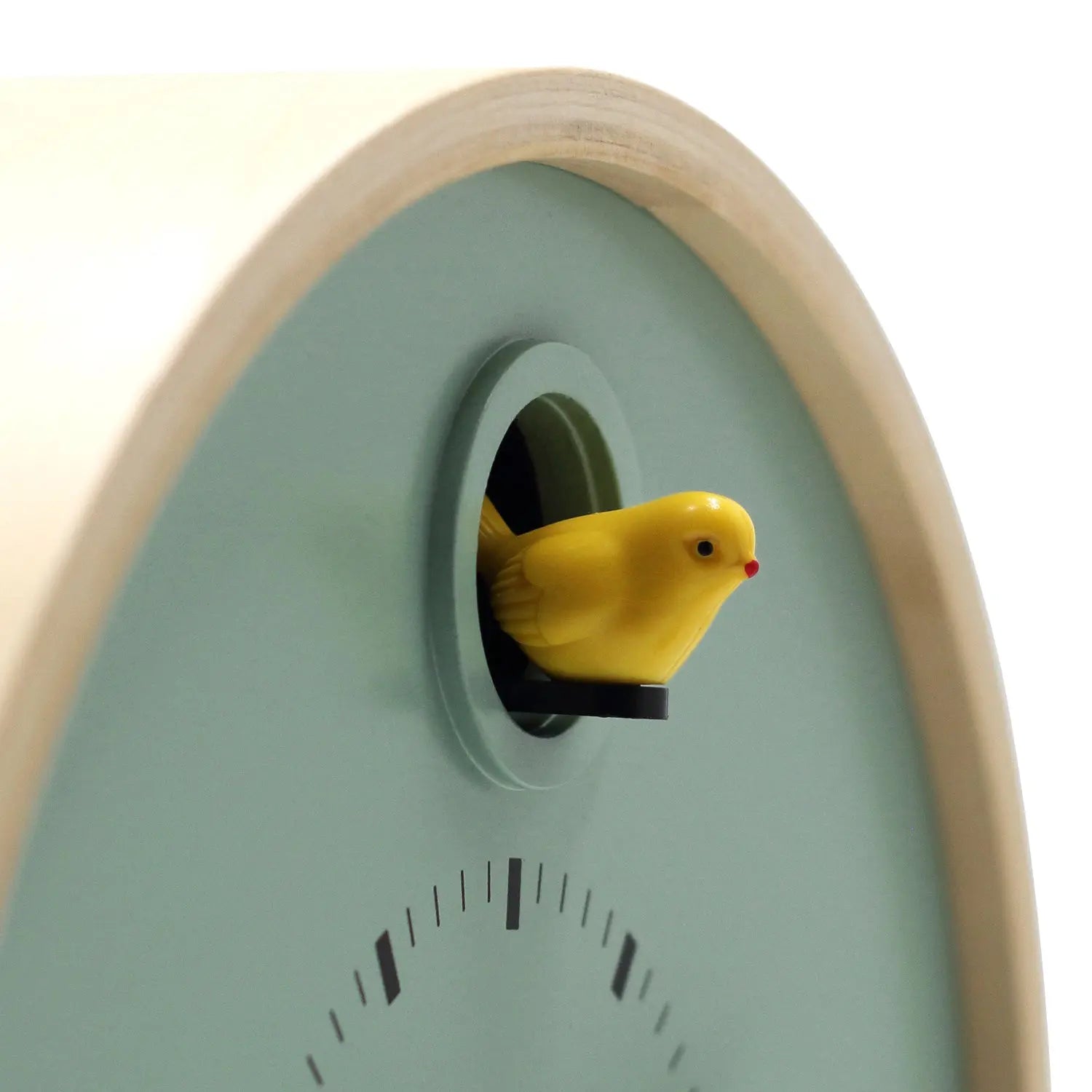 A close-up of the Cloudnola Clock - Sage Green Dot Cuckoo Clock (model 0261) by Cloudnola, featuring a contemporary design with a sage green finish and a yellow bird figure emerging from a circular opening.