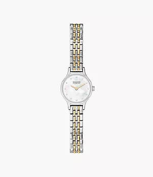 Skagen Ladies’ Two-Tone Anita SKW3191 analog watch with a mother-of-pearl dial, crystal hour markers, and a two-tone silver and gold link bracelet.